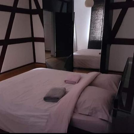 Spacious Appartement Colmar 2 Kültér fotó