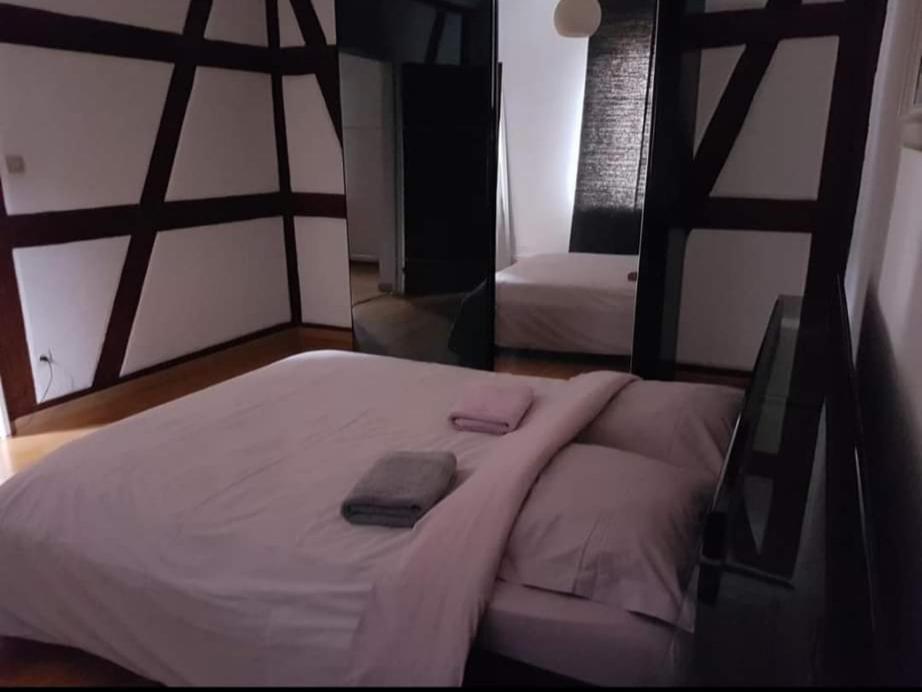 Spacious Appartement Colmar 2 Kültér fotó