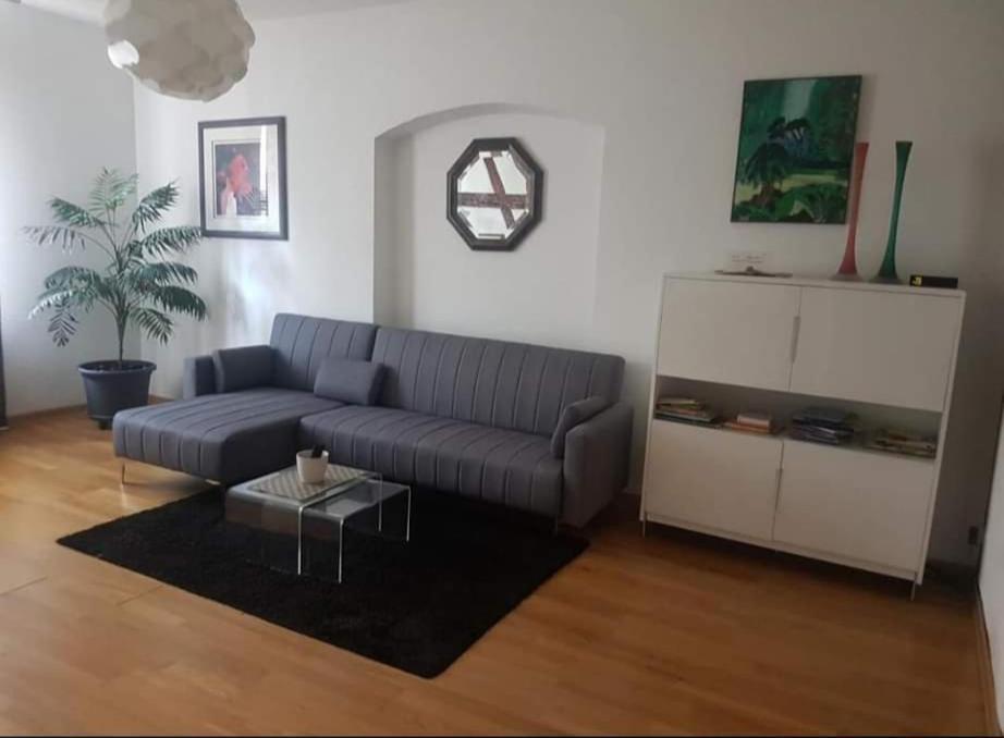 Spacious Appartement Colmar 2 Kültér fotó